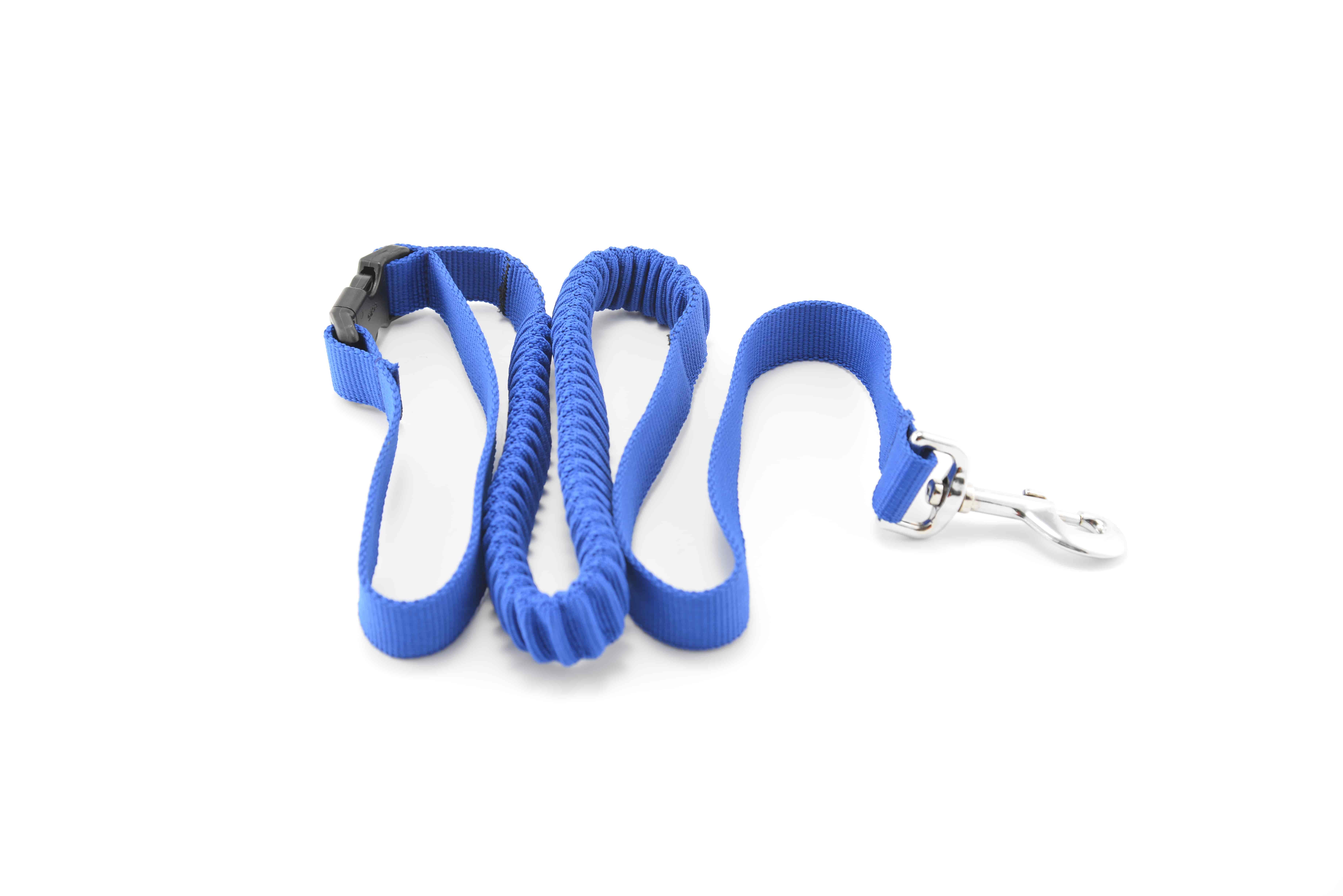 Pet Leash